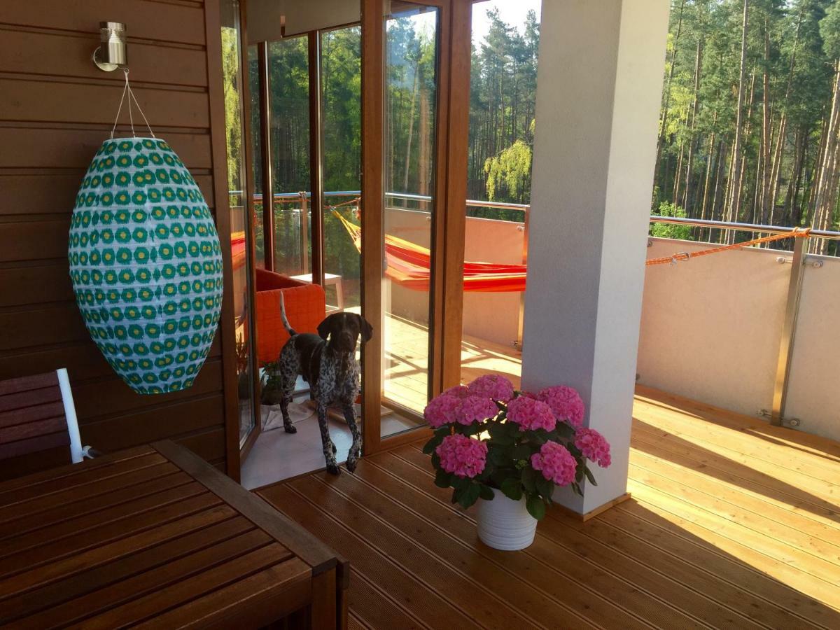 Apartamenty Flaming Baltic Park Stegna Εξωτερικό φωτογραφία